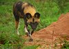 Afrika_2012 (183)