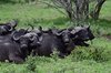 Afrika_2012 (171)