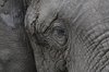 Afrika_2012 (159)