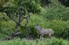 Afrika_2012 (144)
