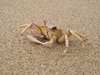 Afrika_2012 (105)