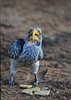 Afrika_2012 (135)