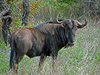 Afrika_2012 (173)