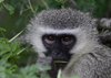 Afrika_2012 (155)