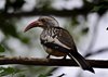 Afrika_2012 (127)