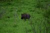Afrika_2012 (97)