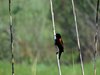 Afrika_2012 (47)