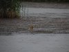 Afrika_2012 (64)