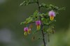 Afrika_2012 (119)