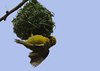 Afrika_2012 (69)