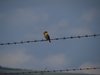 Afrika_2012 (48)