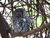 Afrika_2012 (172)