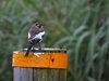 Afrika_2012 (63)