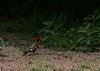 Afrika_2012 (146)