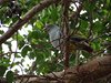 Afrika_2012 (149)