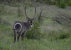 Afrika_2012 (161)