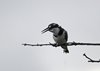 Afrika_2012 (65)