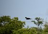 Afrika_2012 (141)