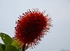 Afrika_2012 (24)