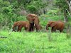 Afrika_2012 (92)