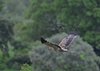 Afrika_2012 (168)