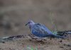 Afrika_2012 (136)