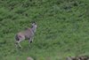 Afrika_2012 (34)