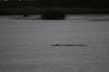 Afrika_2012 (62)