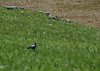 Afrika_2012 (57)