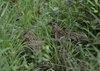 Afrika_2012 (79)