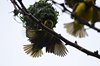 Afrika_2012 (68)