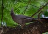 Afrika_2012 (165)