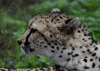 Afrika_2012 (185)