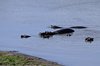 Afrika_2012 (178)