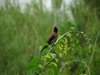 Afrika_2012 (147)