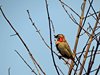 Afrika_2012 (50)