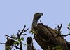 Afrika_2012 (184)