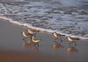 Afrika_2012 (110)
