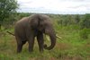 Afrika_2012 (158)
