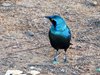 Afrika_2012 (134)