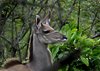 Afrika_2012 (153)