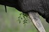 Afrika_2012 (160)