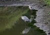Afrika_2012 (187)