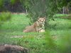 Afrika_2012 (186)