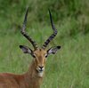 Afrika_2012 (73)
