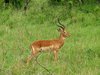 Afrika_2012 (75)