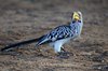 Afrika_2012 (133)