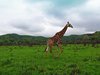 Afrika_2012 (96)