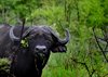 Afrika_2012 (72)