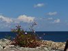 Bornholm (23)